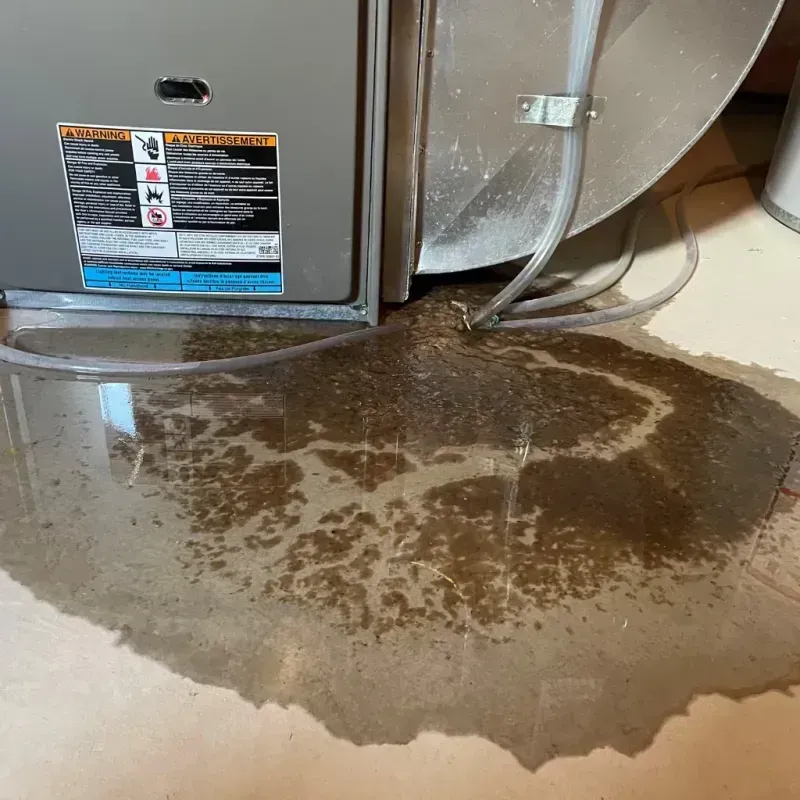 Appliance Leak Cleanup in Kearns, UT